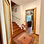 Bon Dog Friendly Tirano