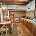Bon Dog Friendly Tirano