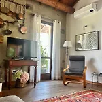 Bon Dog Friendly Tirano