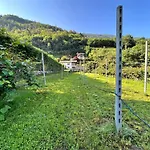 Bon Dog Friendly Tirano